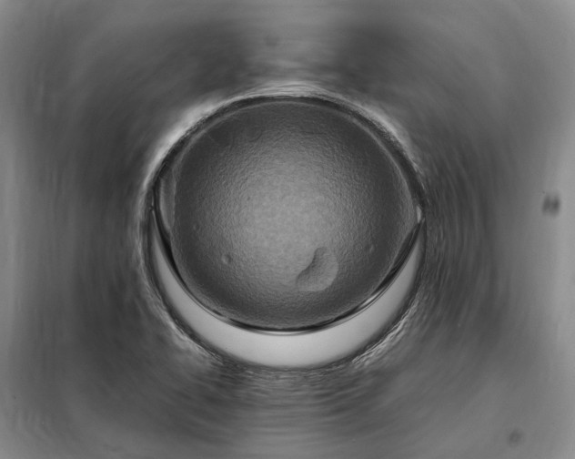 X0000098221414200805011223