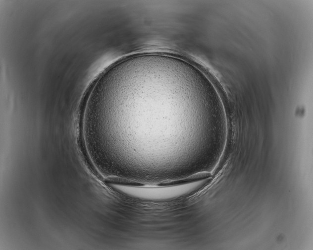 X0000098221415200805011223