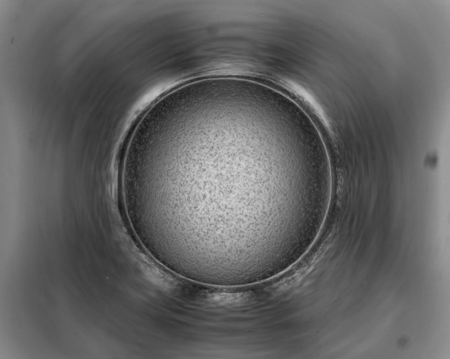 X0000098221419200805011223