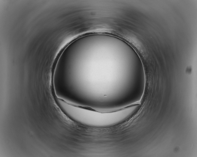 X0000098221420200805011223