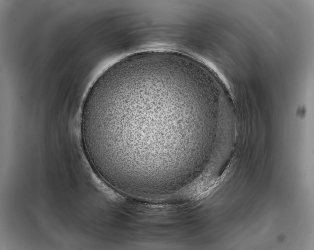X0000098221421200805011224