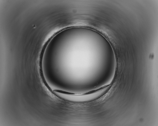 X0000098221422200805011224