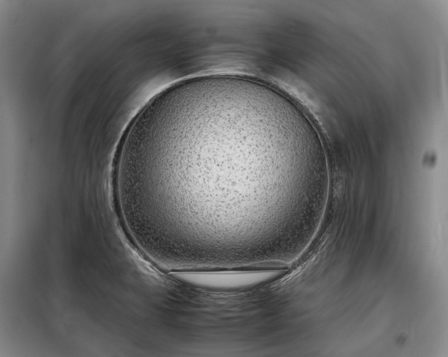 X0000098221423200805011224