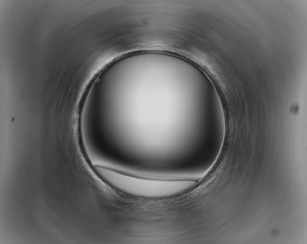 X0000098221424200805011224
