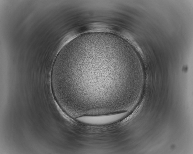 X0000098221425200805011224