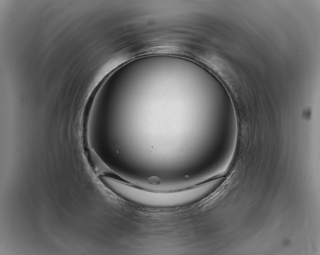 X0000098221426200805011224