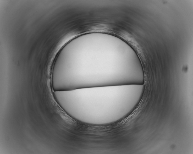 X0000098221427200805011224
