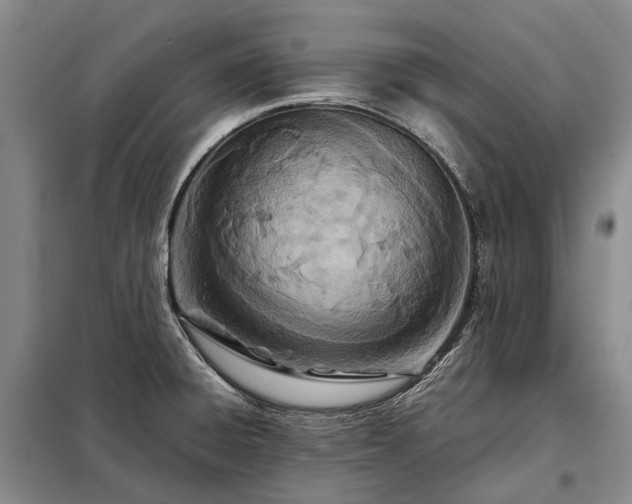 X0000098221428200805011224