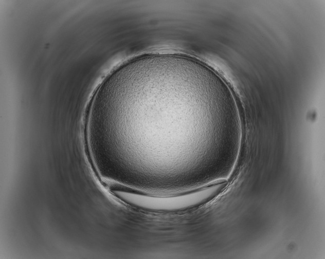 X0000098221429200805011224