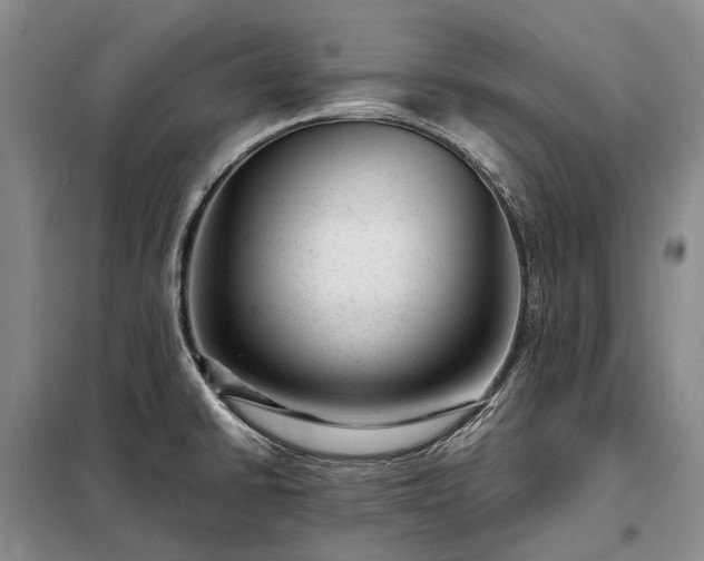 X0000098221430200805011224