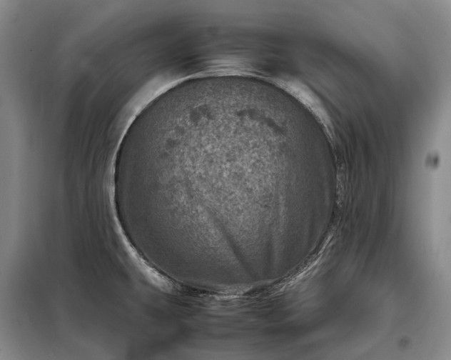 X0000098221431200805011224