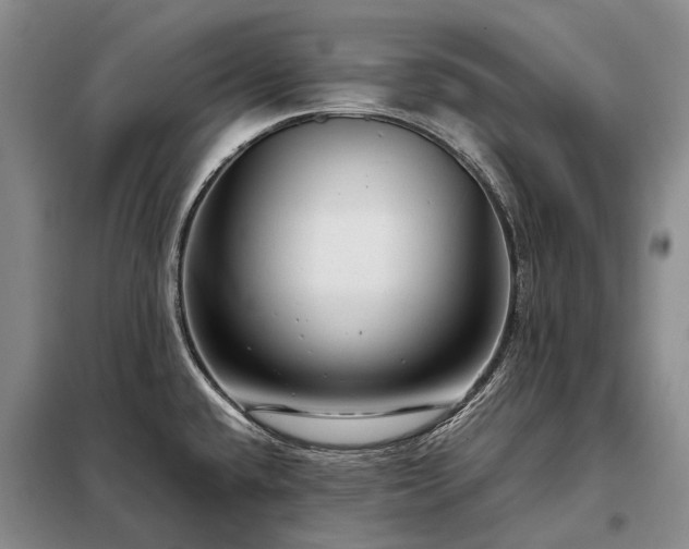 X0000098221432200805011224
