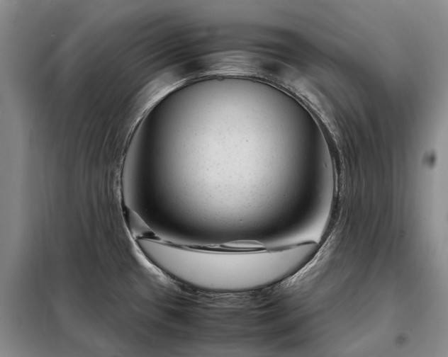 X0000098221433200805011224