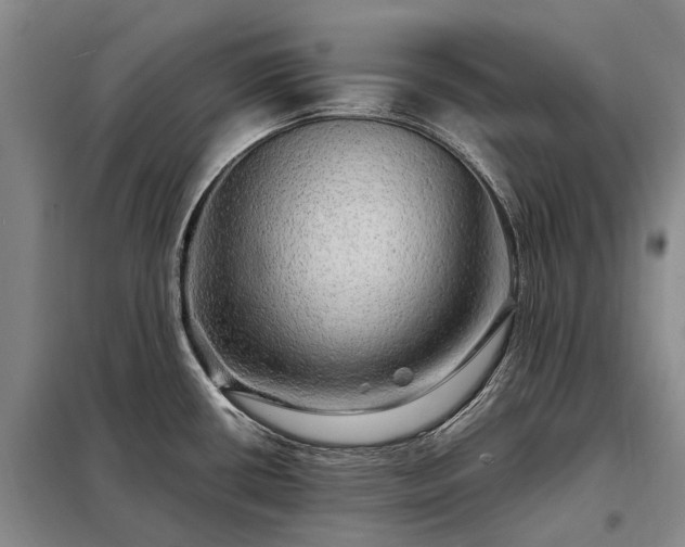 X0000098221434200805011224