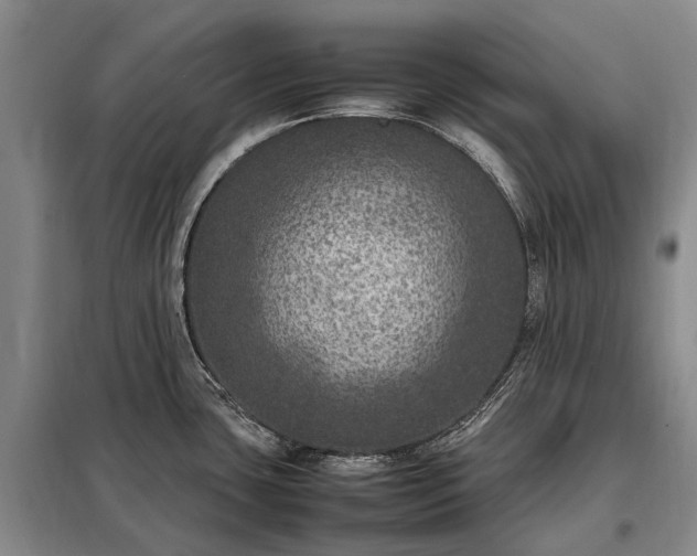 X0000098221435200805011224