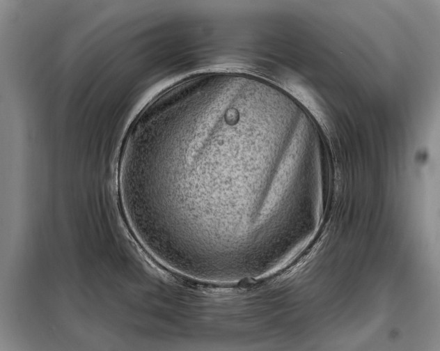 X0000098221436200805011224