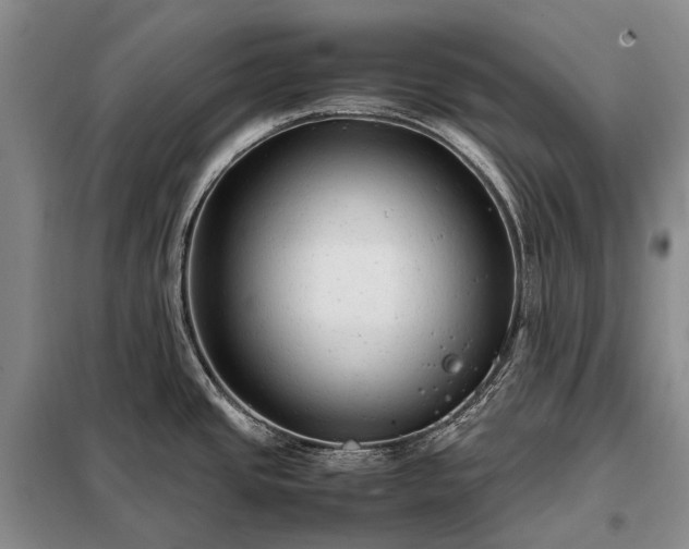 X0000098221437200805011224