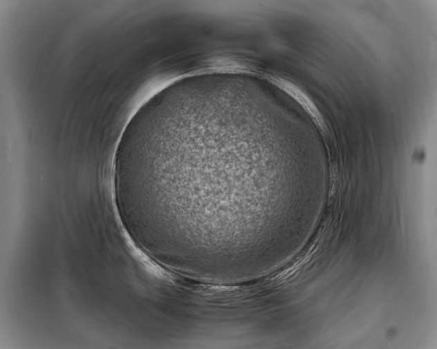 X0000098221439200805011224