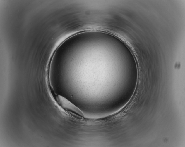 X0000098221440200805011224