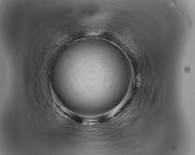X0000098221441200805011223
