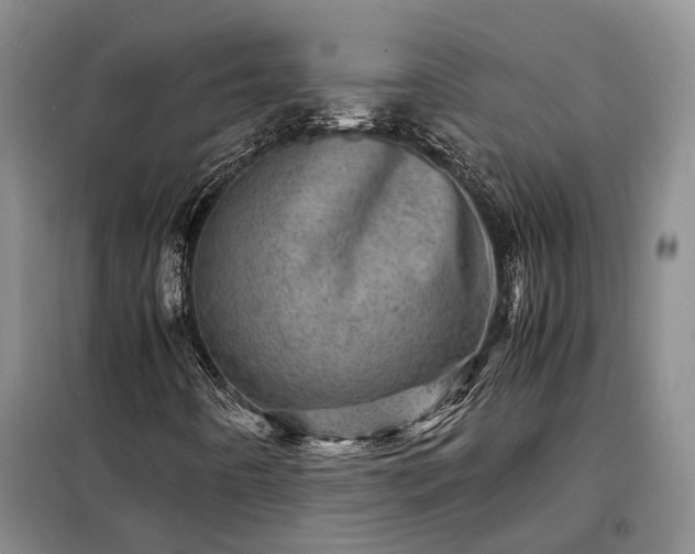 X0000098221442200805011223