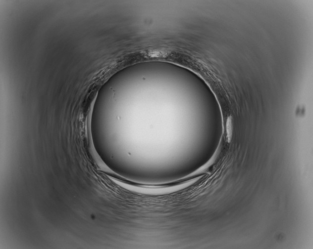 X0000098221443200805011223
