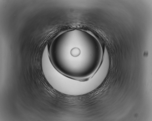 X0000098221444200805011223