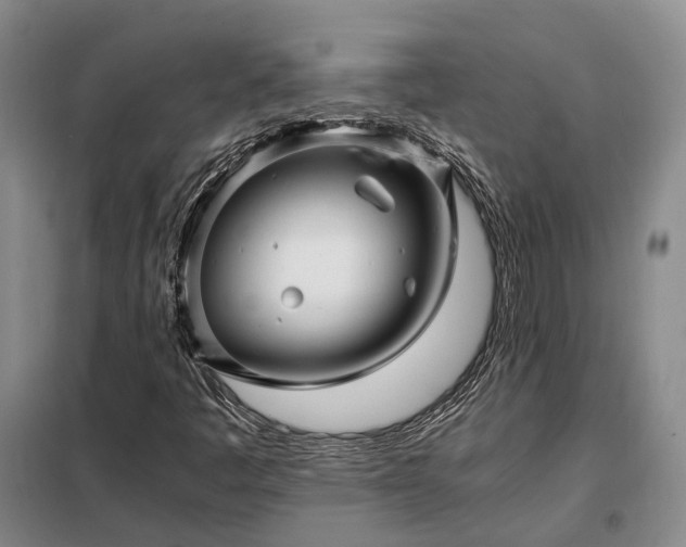 X0000098221445200805011223