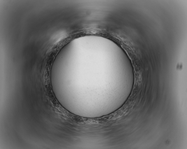 X0000098221446200805011223