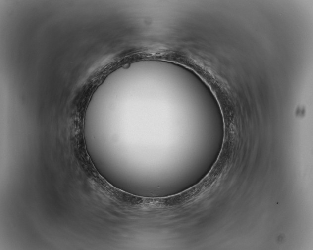 X0000098221447200805011223