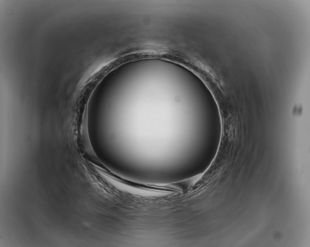 X0000098221448200805011223