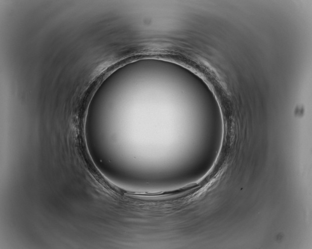 X0000098221449200805011223