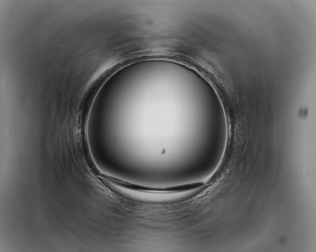 X0000098221450200805011223