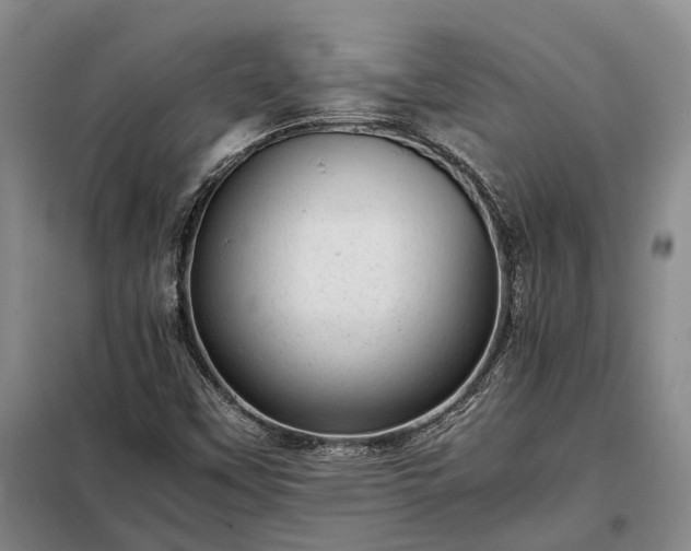 X0000098221451200805011223