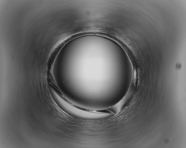 X0000098221452200805011223