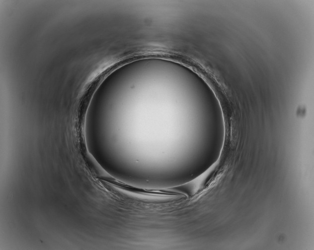 X0000098221453200805011223