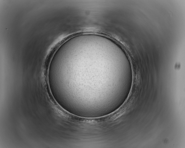 X0000098221454200805011223