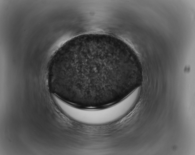 X0000098221455200805011223