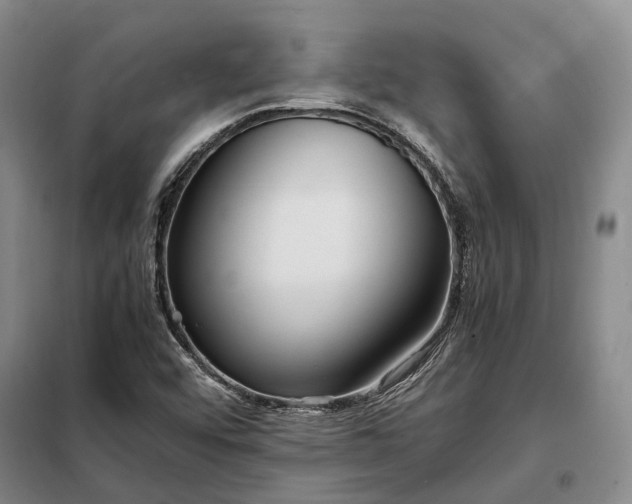 X0000098221456200805011223