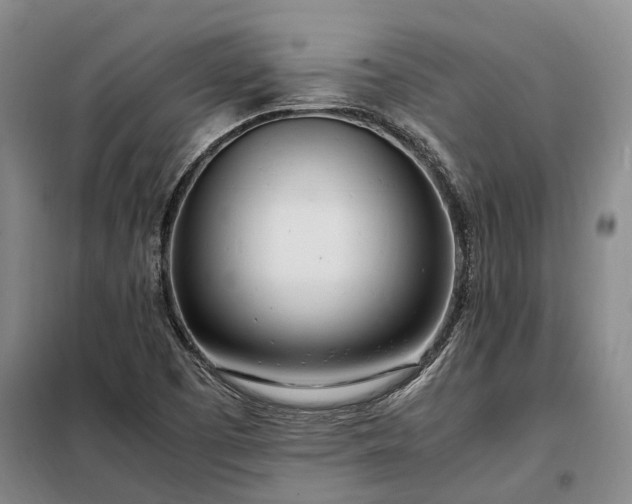 X0000098221457200805011223