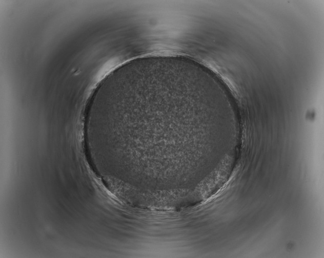 X0000098221459200805011223