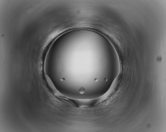 X0000098221461200805011223