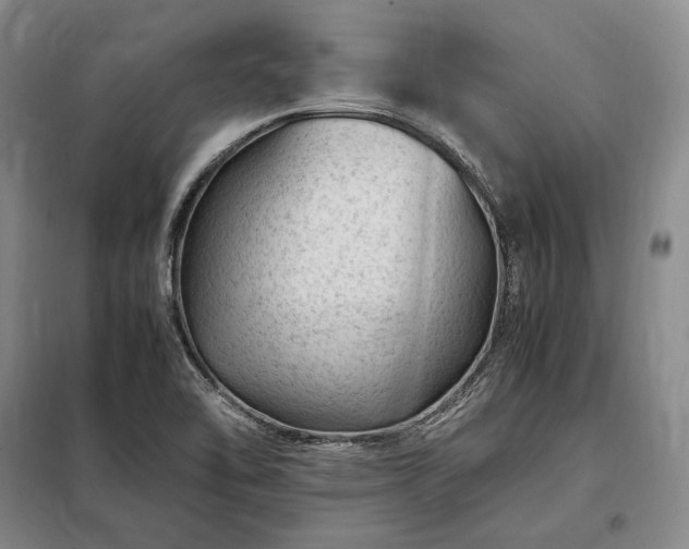 X0000098221462200805011223