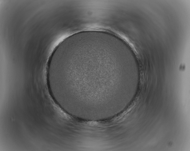 X0000098221463200805011223