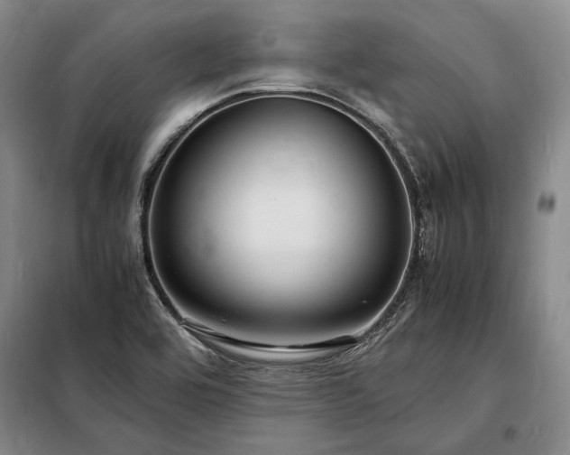 X0000098221464200805011223