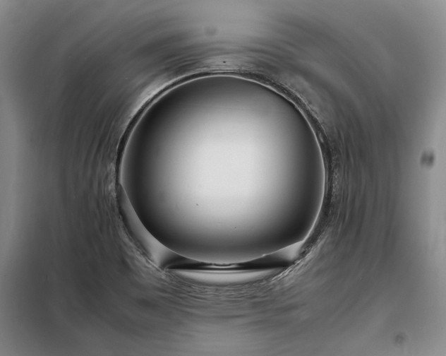 X0000098221465200805011223