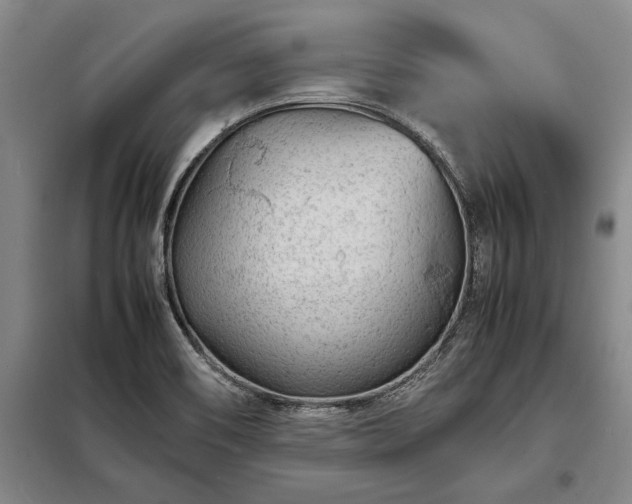 X0000098221466200805011223