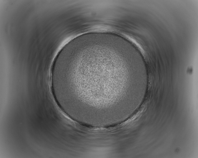 X0000098221467200805011223