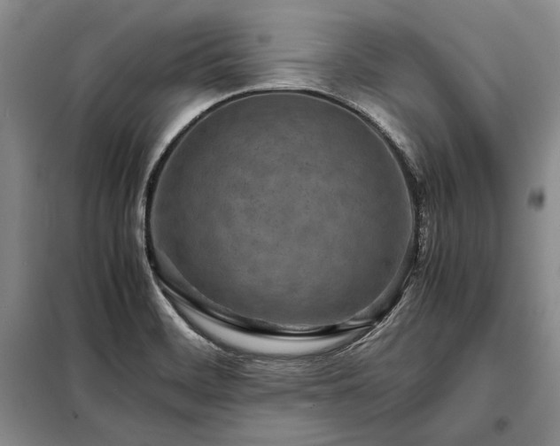 X0000098221468200805011223
