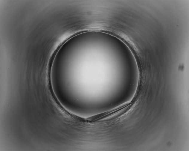 X0000098221469200805011223